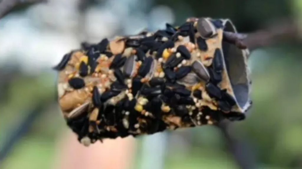 14 Homemade Bird Feeders to Fill Your Garden With Beautiful Birds 11 Toilet Paper Roll Bird Feeder