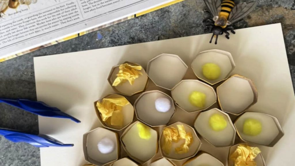 Toilet Paper Roll Honeycomb Honey Bee