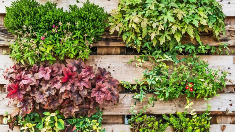 Best Indoor Vertical Garden Systems