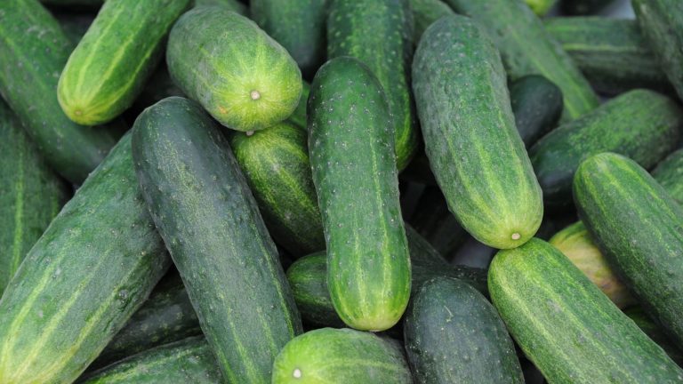 The Worst Companion Plants for Your Cucumbers