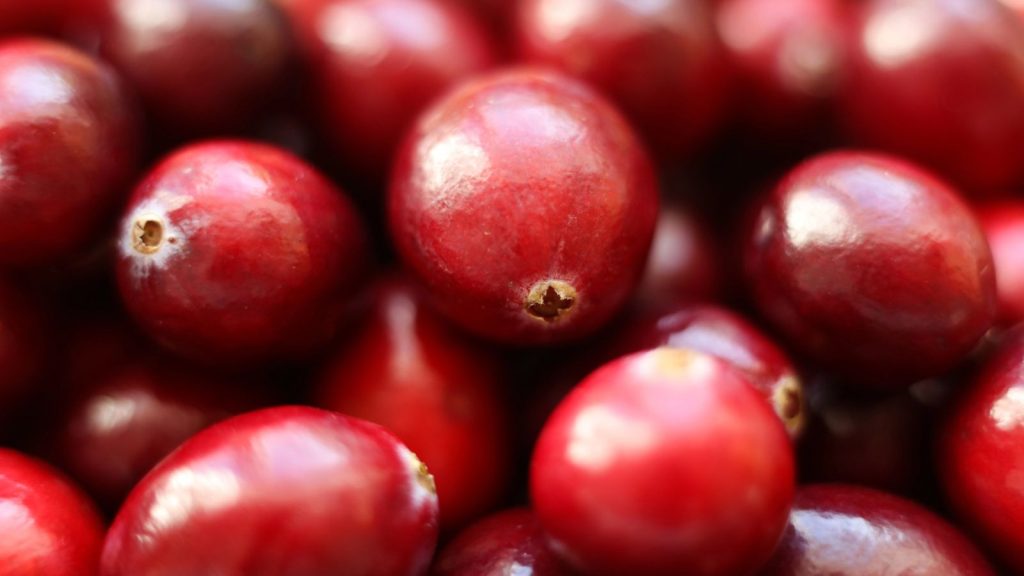 How to Grow a Year's Supply of Fruit 16 cranberries cranberry