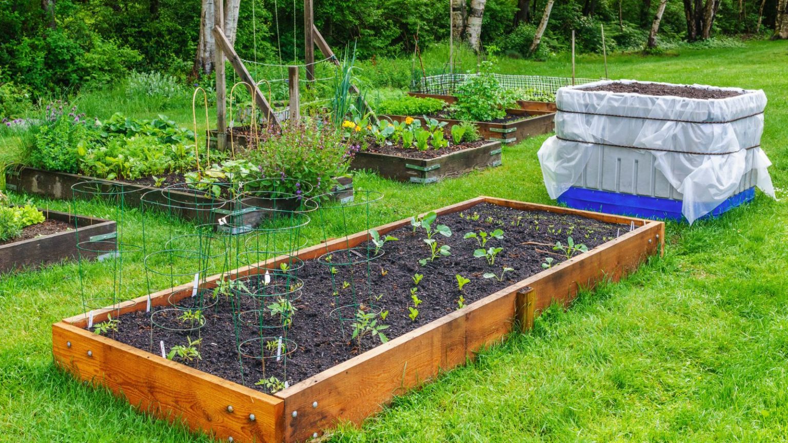 How To Fill A Raised Garden Bed For A Successful Harvest