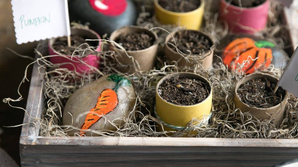 10 Unusual Things Around Your House You Can Use for Seed Starting 2 image 5 edited