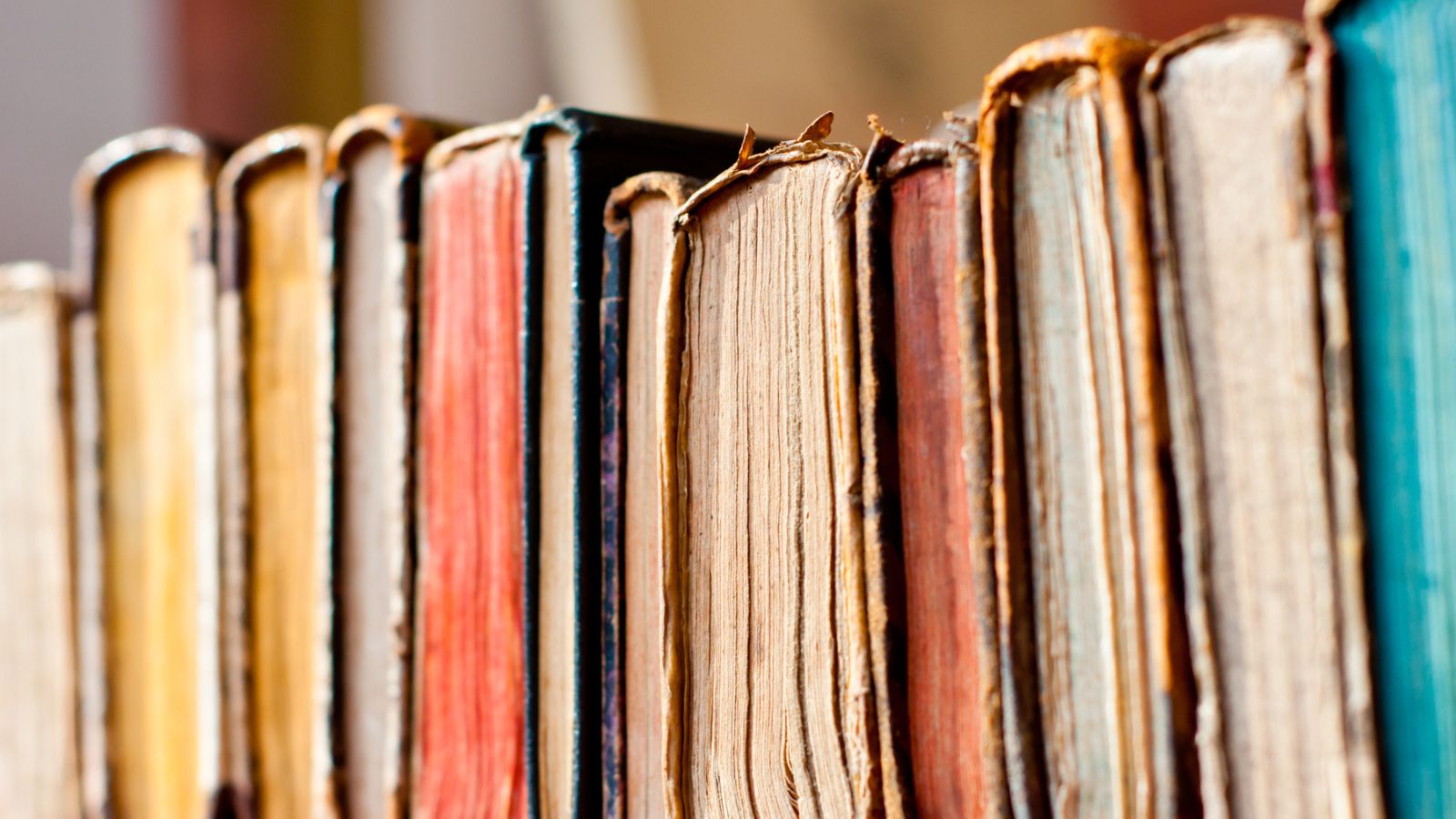 Don’t Toss Those Old Books: Here Are 14 Responsible Ways to Get Rid of Them 6 old books