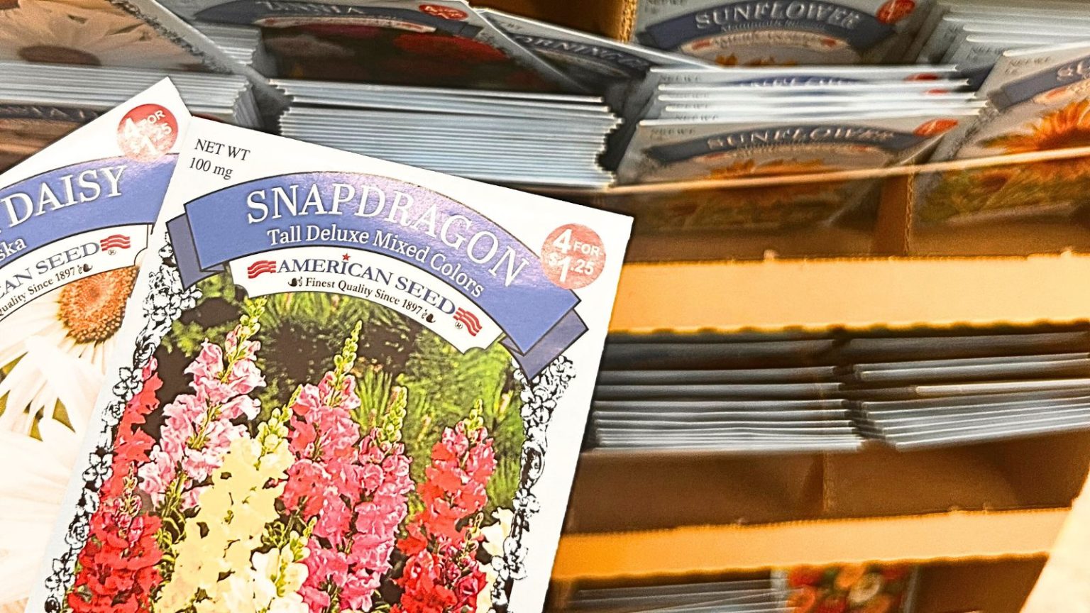 I Started Saving Seeds \u2014 Here\u2019s What Worked And What Didn\u2019t