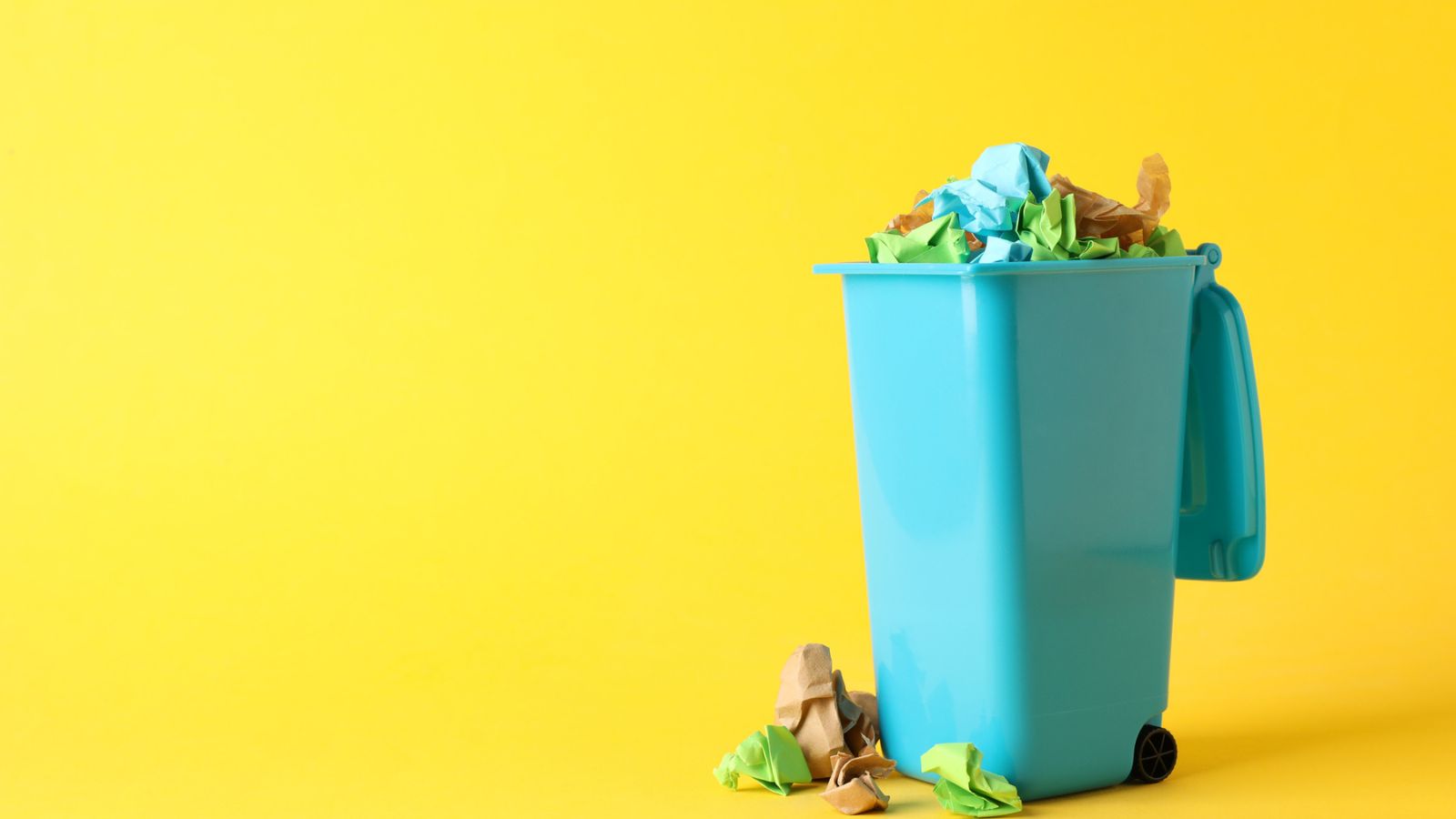 Don’t Toss Those Old Books: Here Are 14 Responsible Ways to Get Rid of Them 18 trash garbage bin