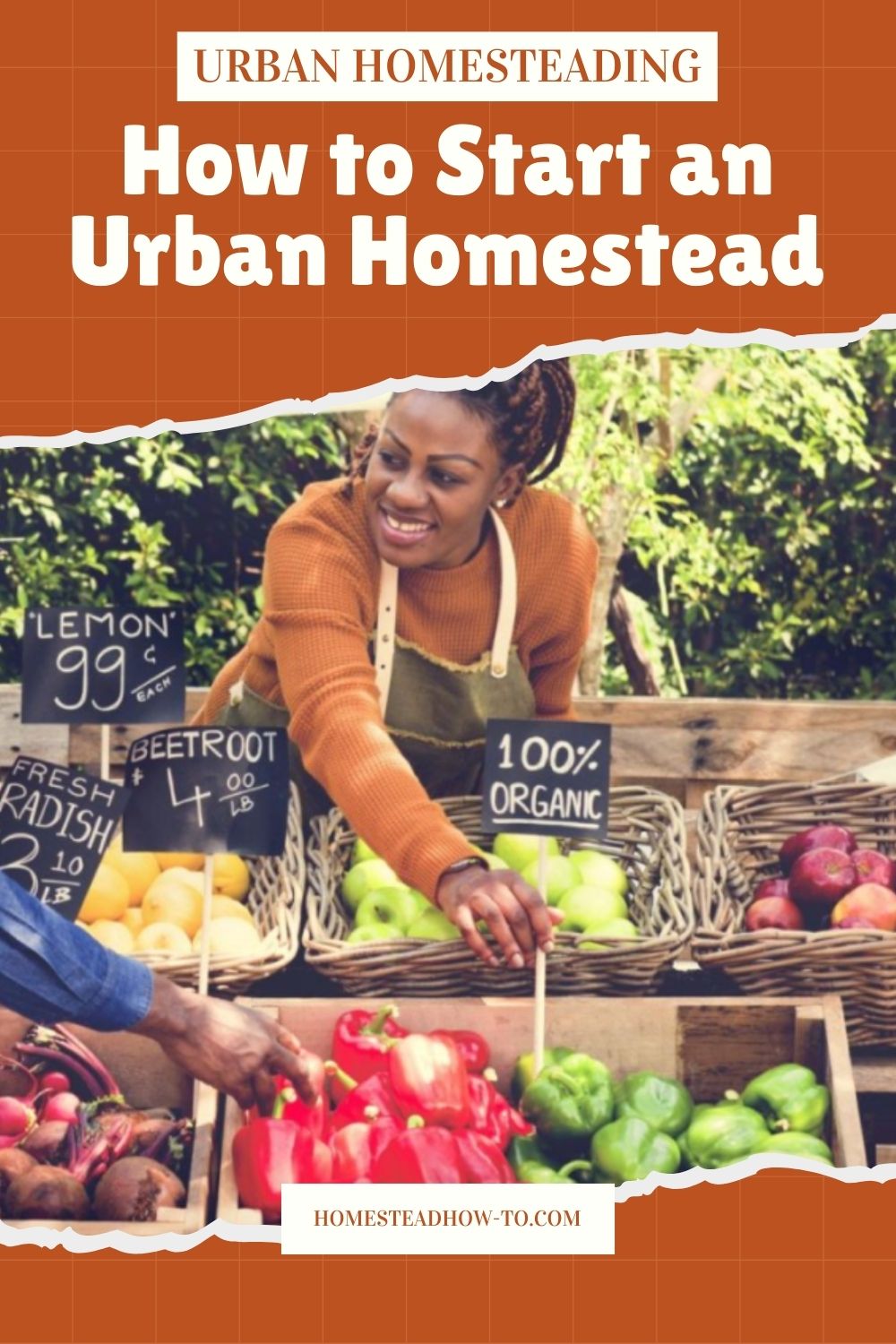 It's Possible To Start Urban Homesteading In An Apartment – Here's How