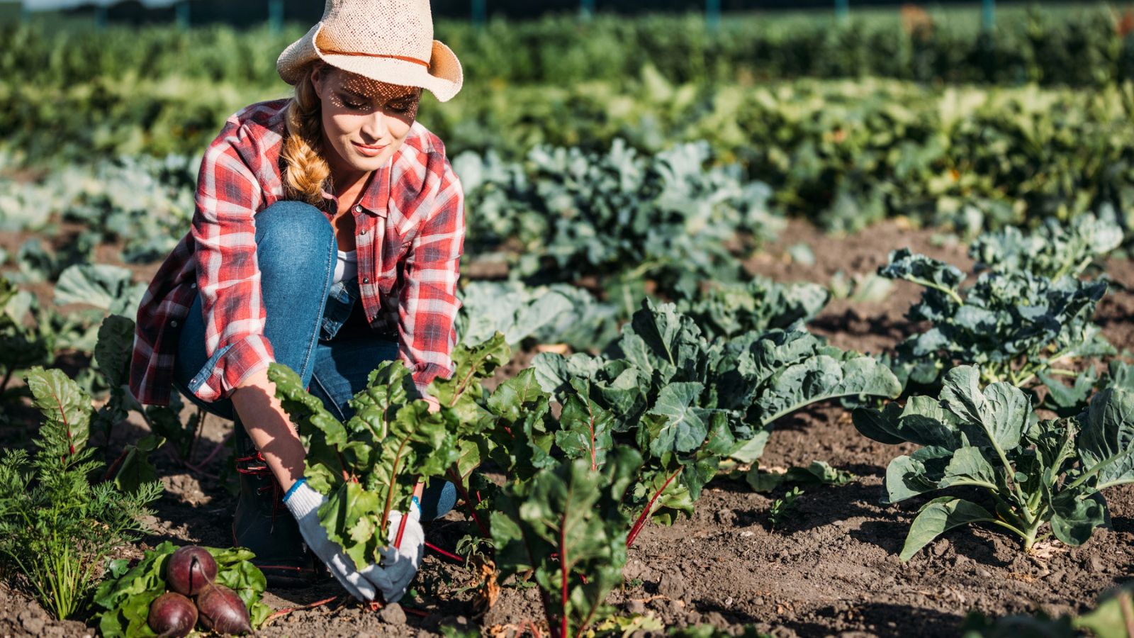 12 Old-School Habits That Can Help You Save More Money Today 1 woman gardening outside crops