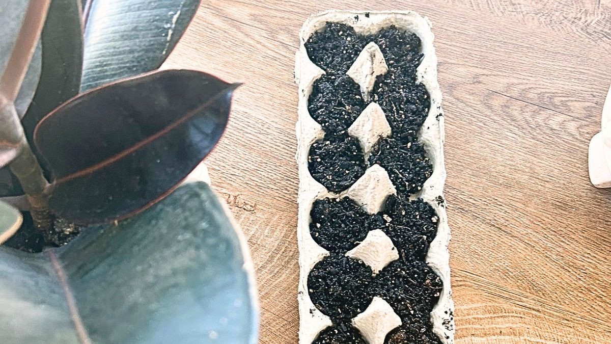 Egg Prices Are Up, But These 14 Egg Carton Crafts Won’t Cost You a Thing 1 5 1 edited