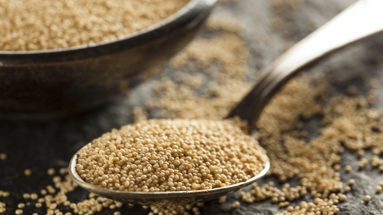 15 Survival Plants You Can Turn Into Flour in an Emergency
