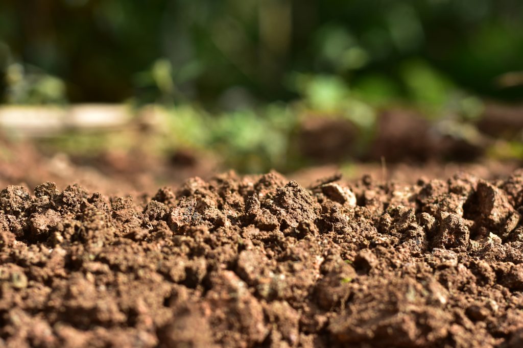 This Is What Happens When You Put a Bar of Soap in Your Garden 11 Clean soil for cultivation. The potting soil or peat is suitable for gardening and is one of the four natural elements. The land is life for our planet earth. Selective Focus.