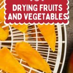 Food Dehydration 101 Drying Fruits and Vegetables