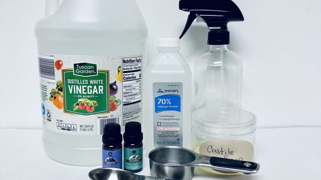 How to Get Rid of Aphids on Your Houseplants—And Keep Them From Coming Back 9 IMG 7398 scaled e1705527629444 1024x953 edited