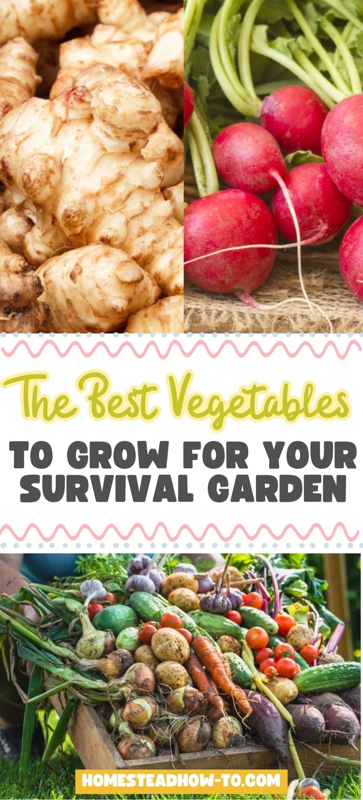 The Best Vegetables To Grow For Your Survival Garden