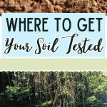 Where to get Your Soil Tested