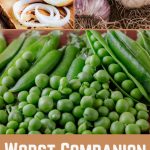 Worst Companion Plants for Peas