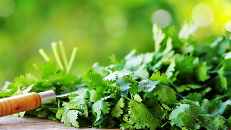 No Backyard? These 15 Fruits and Vegetables Grow in Small Spaces