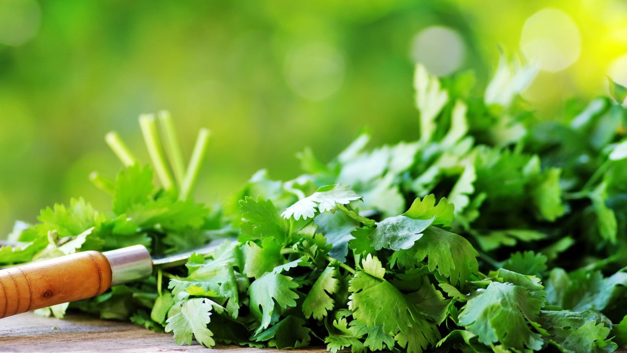 No Backyard? These 15 Fruits and Vegetables Grow in Small Spaces
