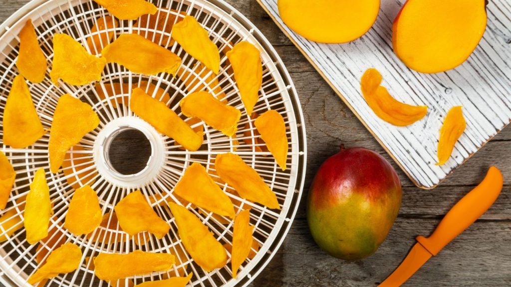 Preserving Fruits and Vegetables for Long-Term Storage with Food Dehydration