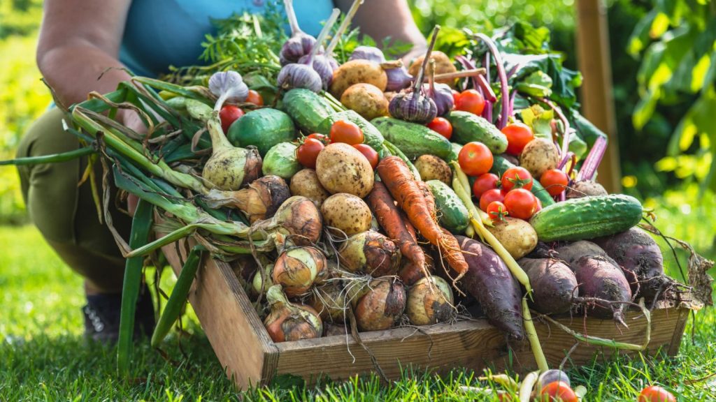 Profitable Homesteading: Simple Ways to Make Money from Your Land 1 farmer with vegetables