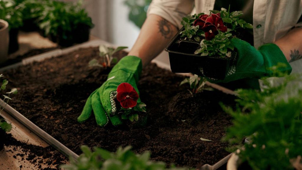 17 Ways to Put Old Newspapers to Work in Your Garden 18 gardening