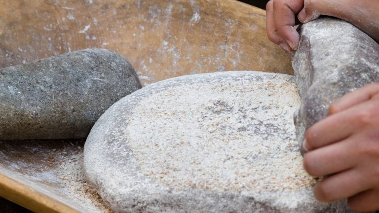 15 Survival Plants You Can Grind Into Flour