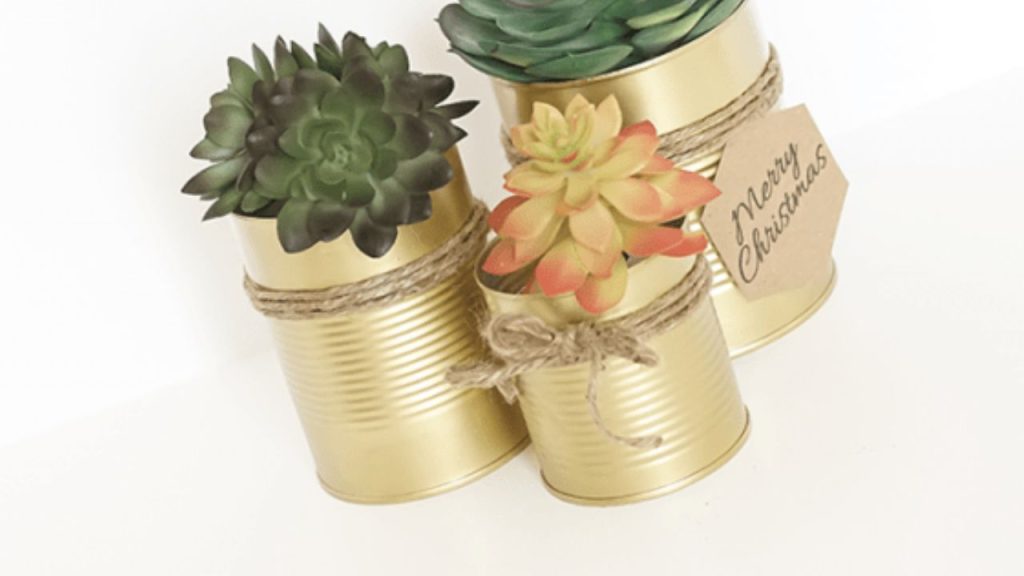 10 Empty Tin Can Crafts for a Fun Afternoon with Kids 1 succulent craft