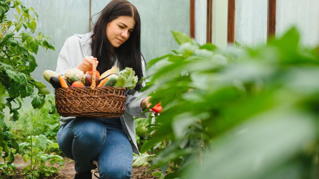 15 Frugal Hacks Homesteaders Wished They Knew Sooner 2 woman picking fresh fruits and vegetables from garden