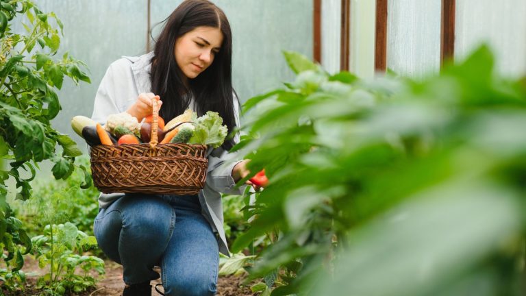 How to Start a Homestead with Little or No Money