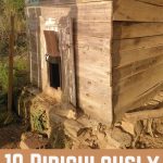 10 Ridiculously Cool Chicken Coop Design Ideas