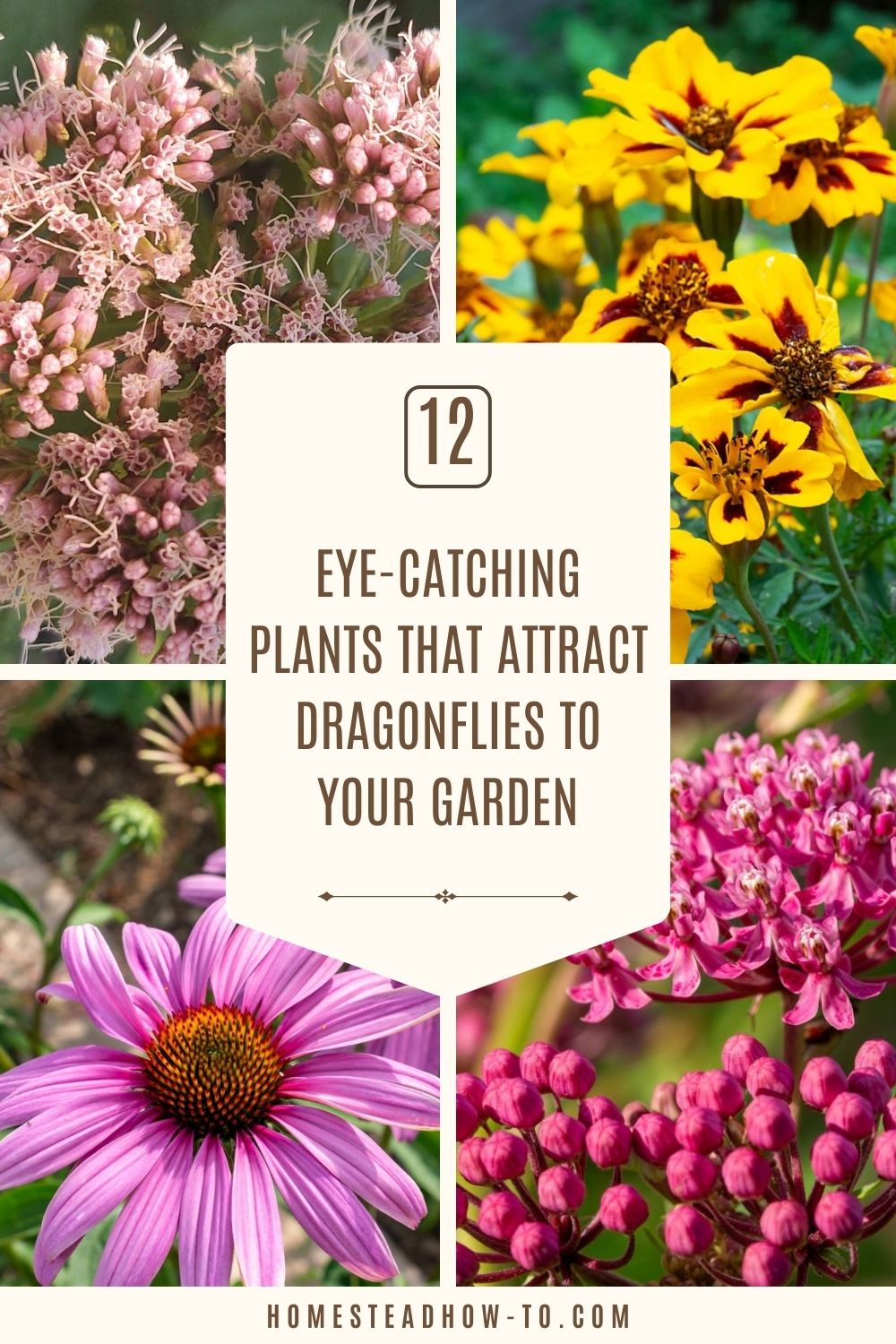 12 Eye-Catching Plants That Attract Dragonflies To Your Garden