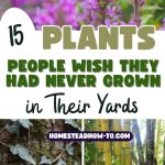 15 Plants People Wish They Had Never Grown in Their Yards