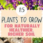 15 Plants to Grow for Naturally Healthier, Richer Soil