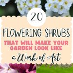 20 Flowering Shrubs That Will Make Your Garden Look Like a Work of Art