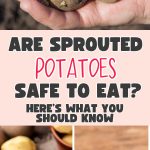 Are-Sprouted-Potatoes-Safe-to-Eat-Heres-What-You-Should-Know