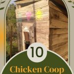 a chicken coop on the backyard