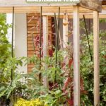 Electroculture Gardening Revolutionary or Just a Trend