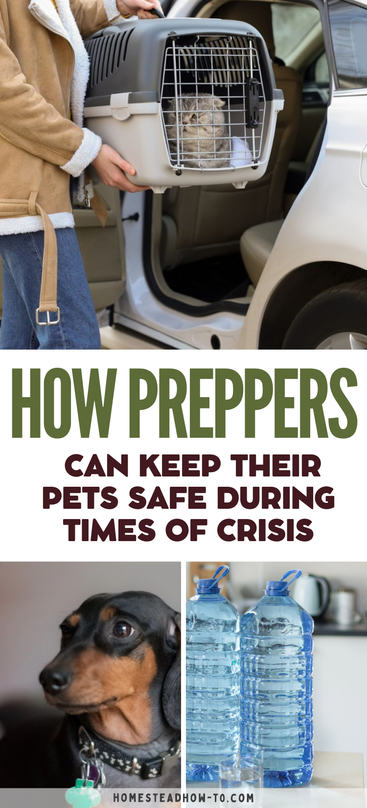 How Preppers Can Keep Their Pets Safe During Times Of Crisis