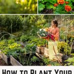 How to Plant Your Own Sustainable Permaculture Garden