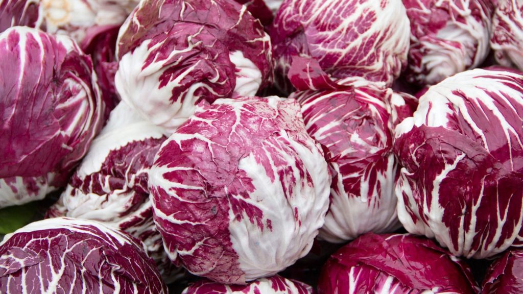 16 Perennial Vegetables You Plant Once That Return Every Year 6 Radicchio