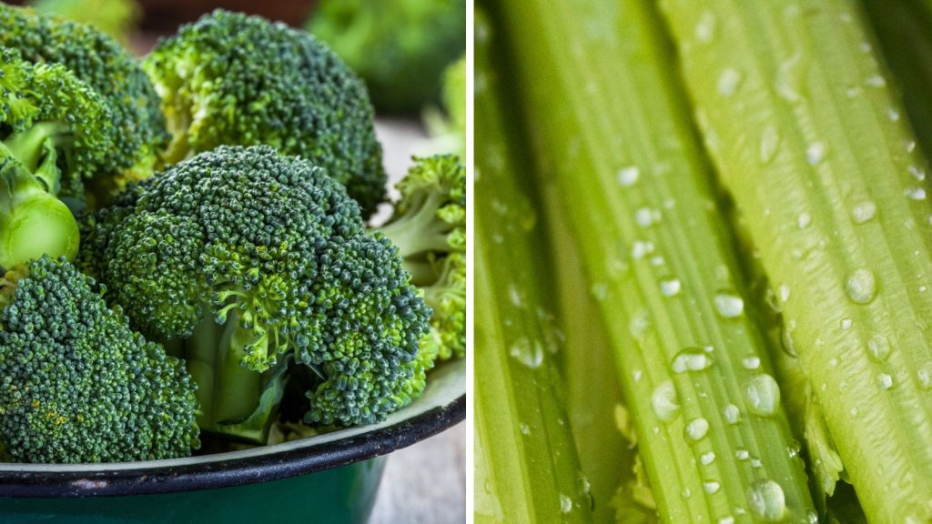 18 Vegetables That Grow Better Together in Raised Garden Beds 12 broccoli and celery
