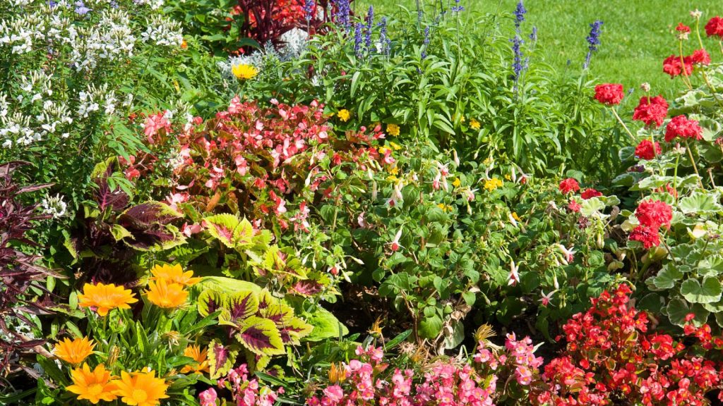 14 Gardening Tips That Break the Rules and Challenge Traditional Advice 1 flower bed garden