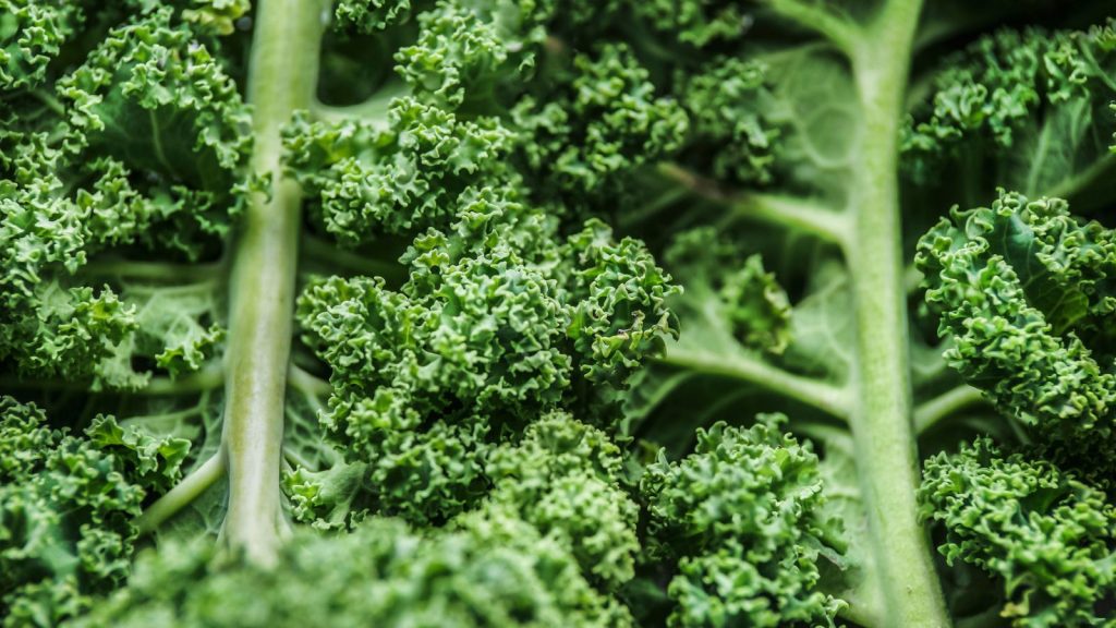 The Worst Plants to Grow Near Marigolds (That No One Talks About) 9 fresh kale