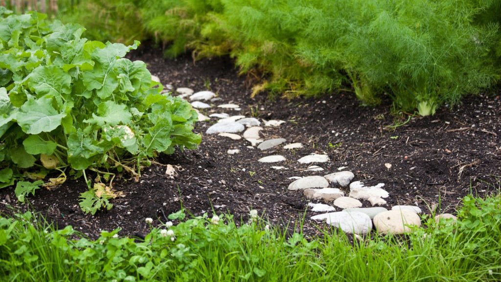 15 Habits That Could Be Ruining Your Lawn 5 garden with paved rocks