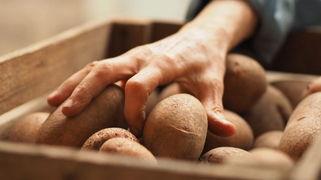 Are Sprouted Potatoes Safe to Eat? Here’s What You Should Know 4 lady hands taking potatoes