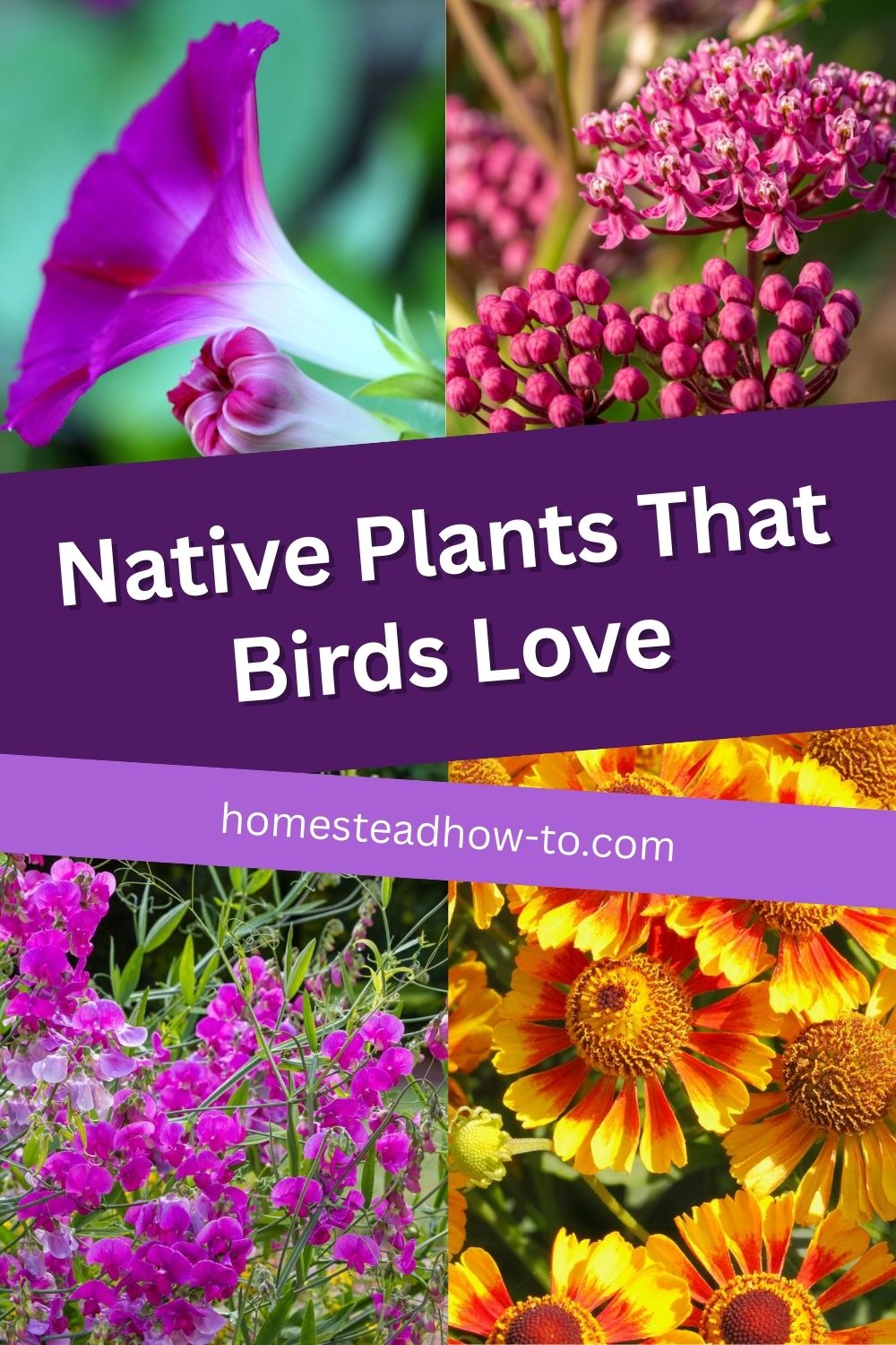 30 Native Plants That Will Draw Beautiful Birds To Your Yard