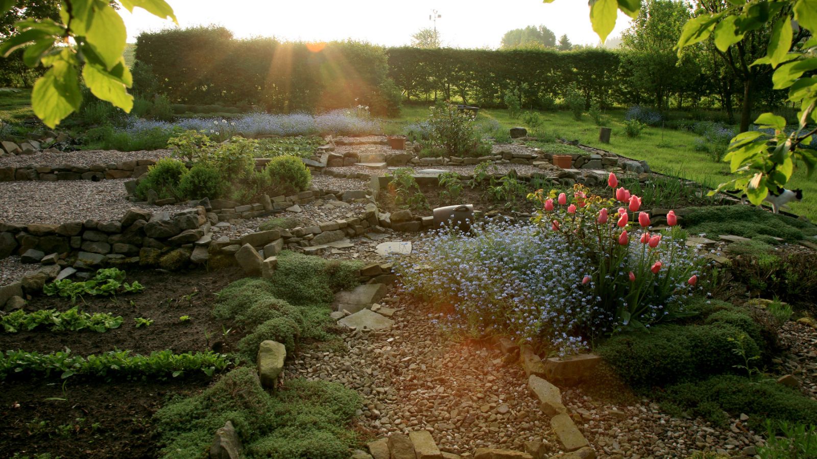 How to Implement Permaculture Gardening