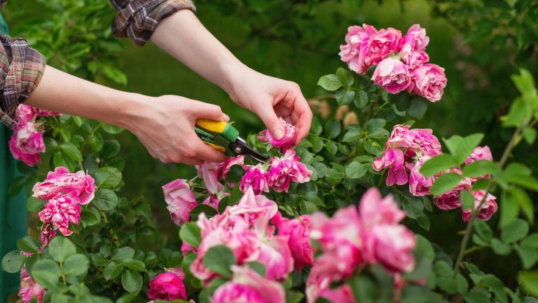 23 Gardening Mistakes That Could Derail Your Hard Work