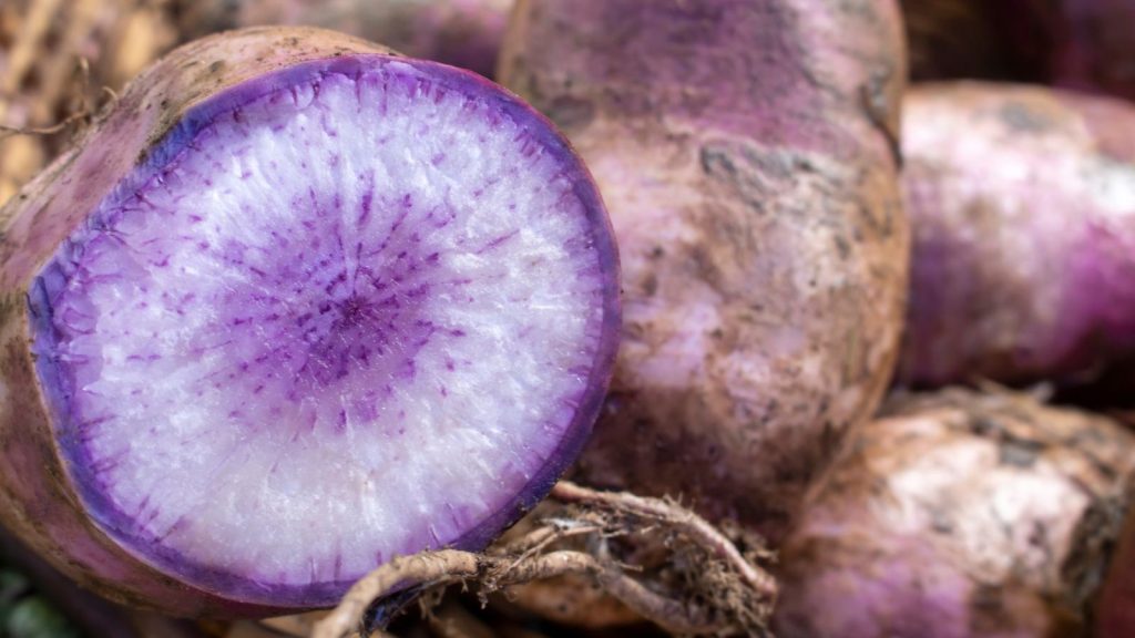 22 Fast-Growing Vegetables Ready to Eat in 45 Days or Less 21 purple daikon radish