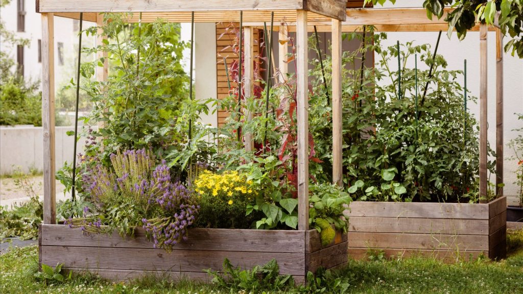 17 Ways to Put Old Newspapers to Work in Your Garden 8 raised garden beds gardening
